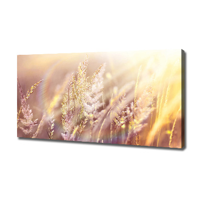 Canvas wall art Tall grass