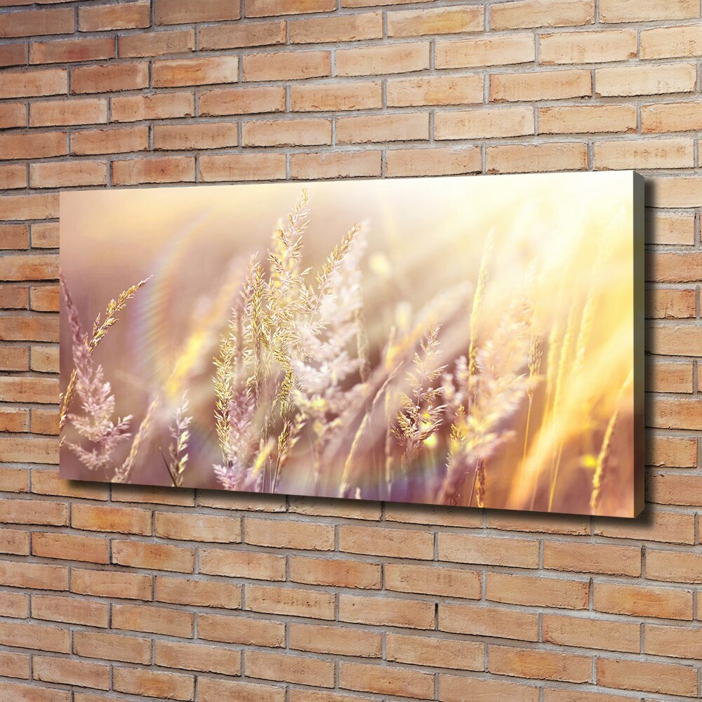 Canvas wall art Tall grass