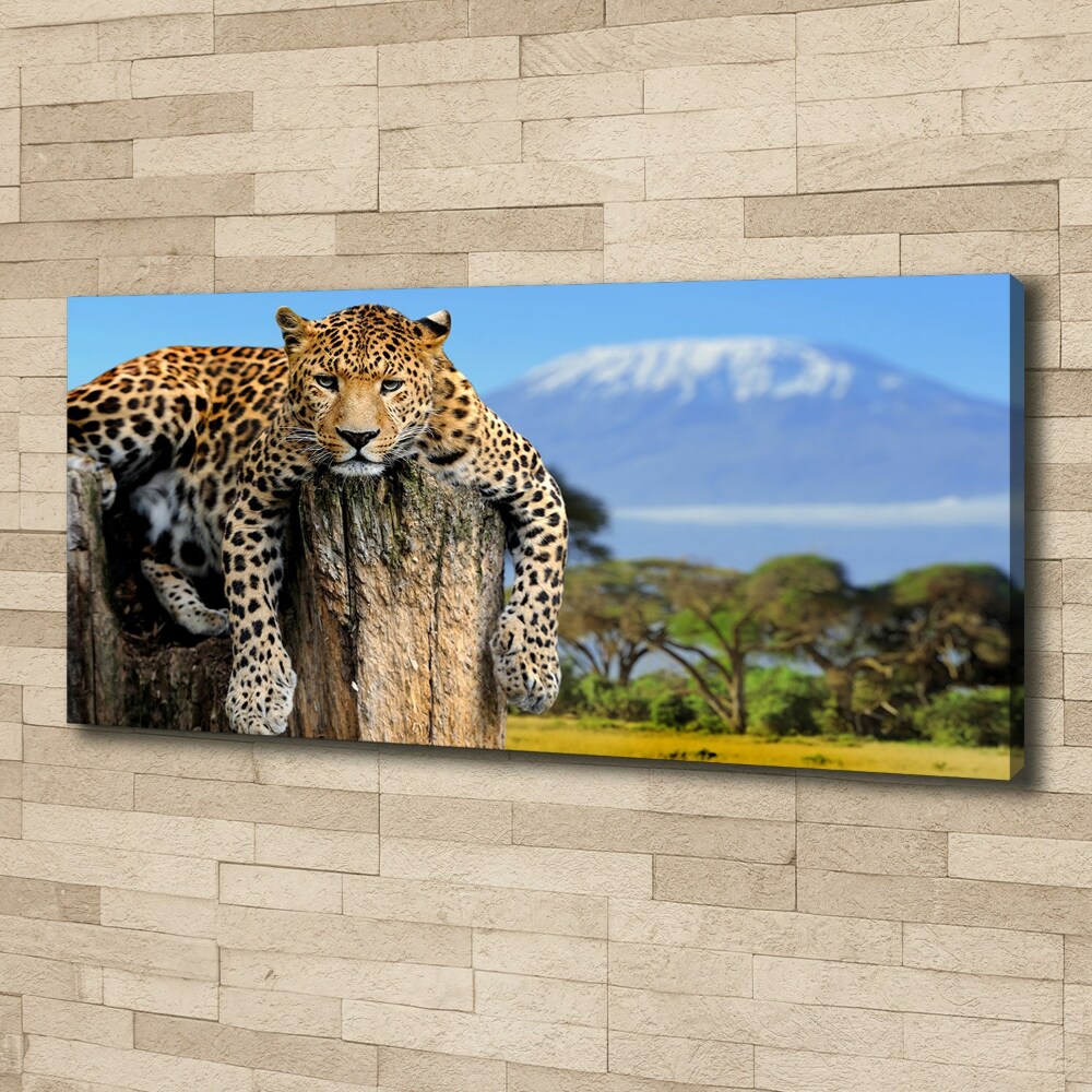 Canvas wall art Leopard on the trunk