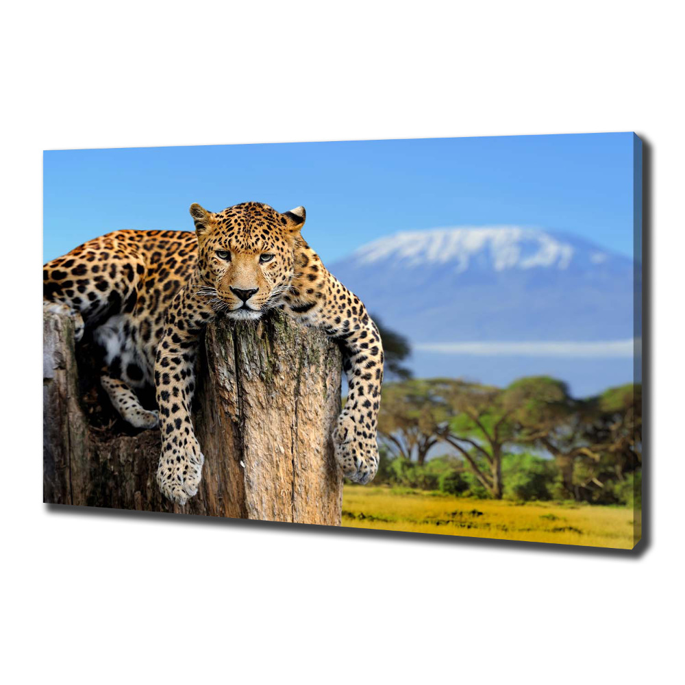 Canvas wall art Leopard on the trunk