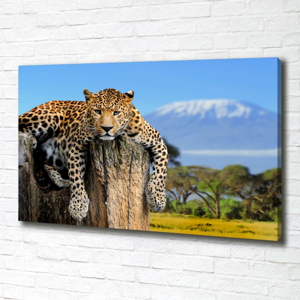 Canvas wall art Leopard on the trunk