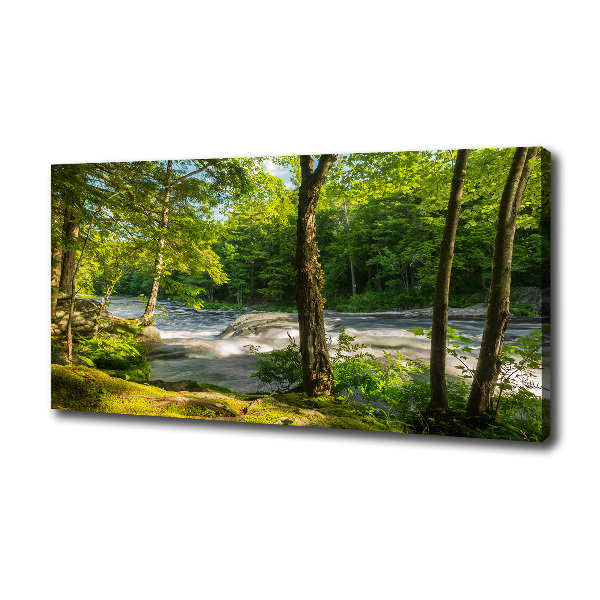 Canvas wall art River in the forest