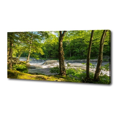 Canvas wall art River in the forest