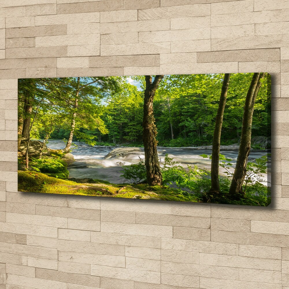 Canvas wall art River in the forest