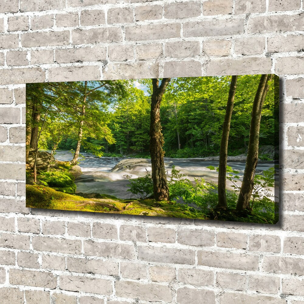 Canvas wall art River in the forest