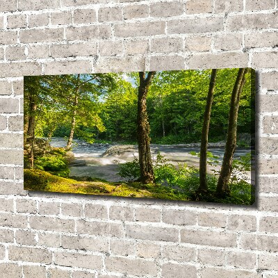 Canvas wall art River in the forest