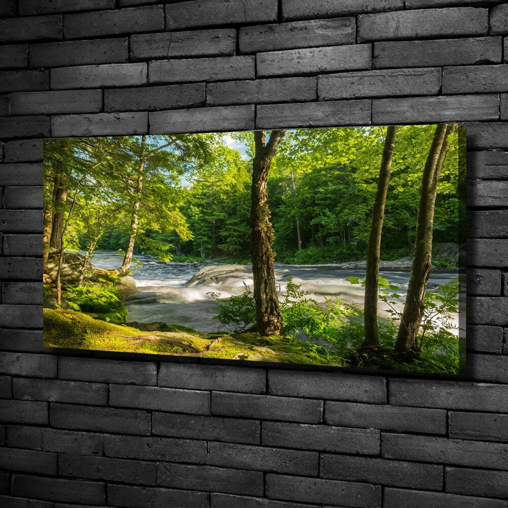 Canvas wall art River in the forest