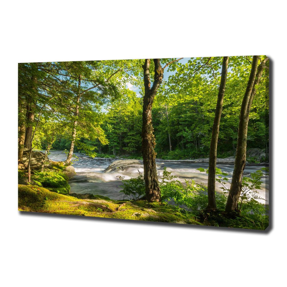 Canvas wall art River in the forest