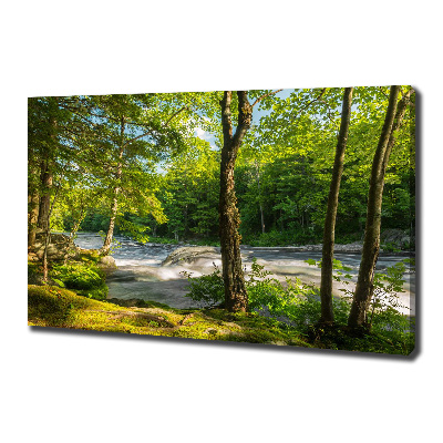 Canvas wall art River in the forest