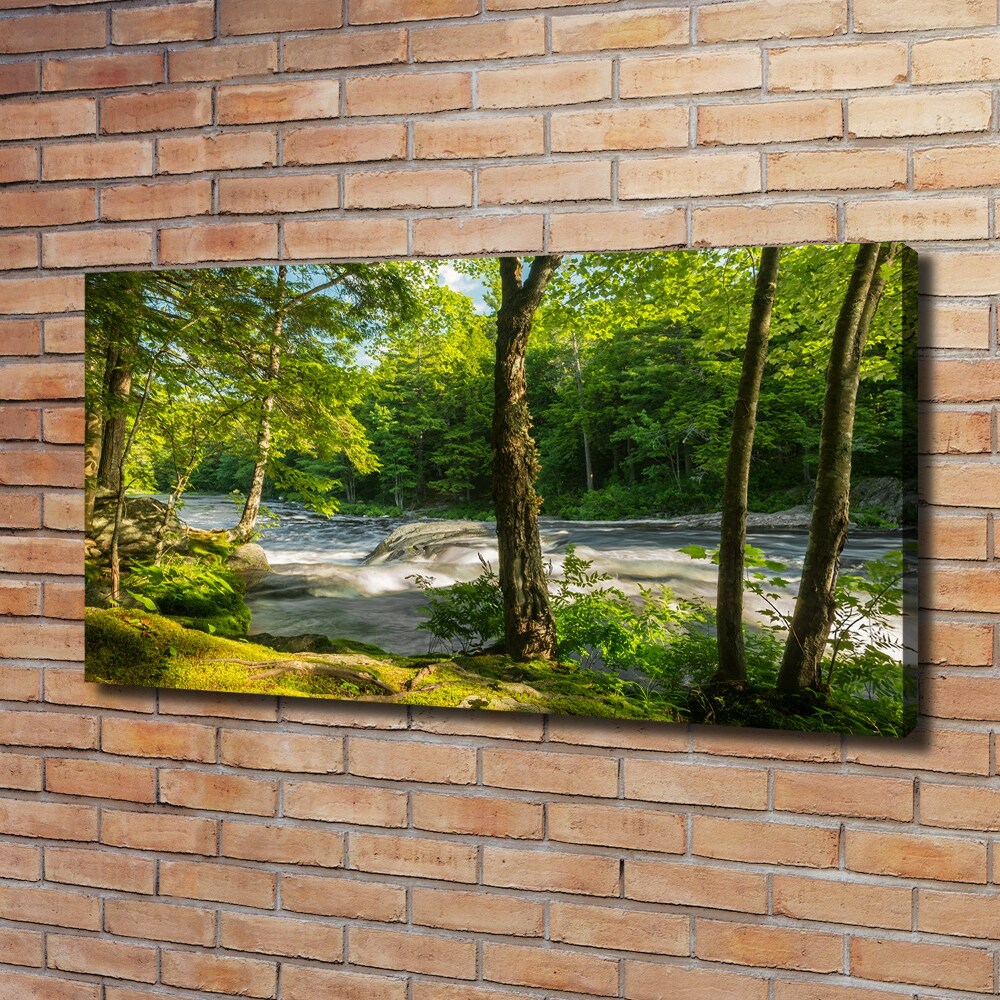 Canvas wall art River in the forest