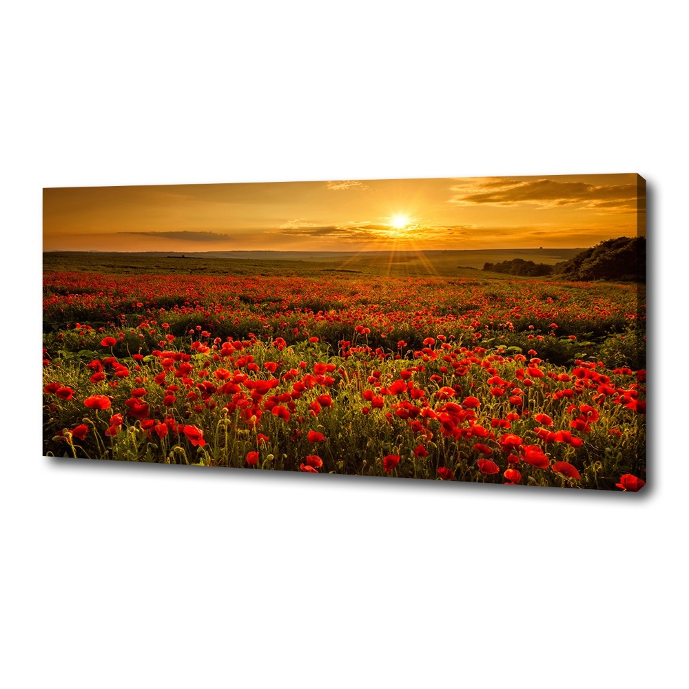 Canvas wall art Mak field