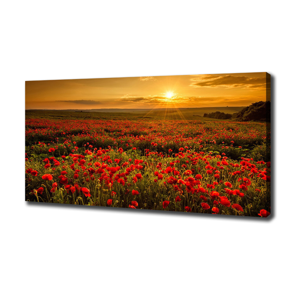 Canvas wall art Mak field