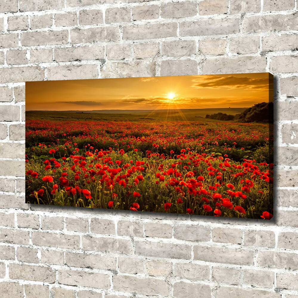 Canvas wall art Mak field