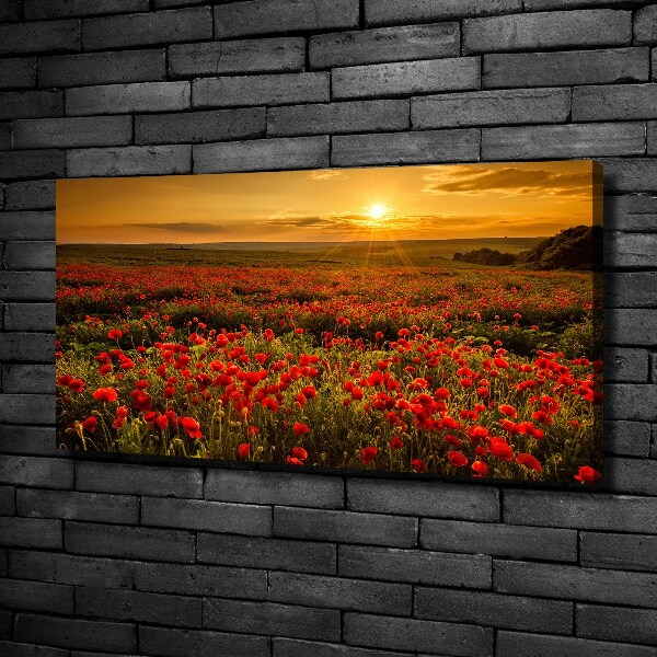 Canvas wall art Mak field