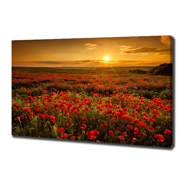 Canvas wall art Mak field