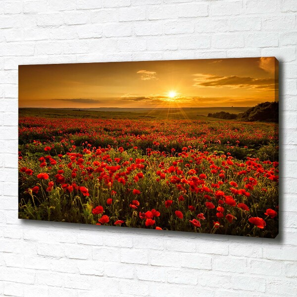 Canvas wall art Mak field