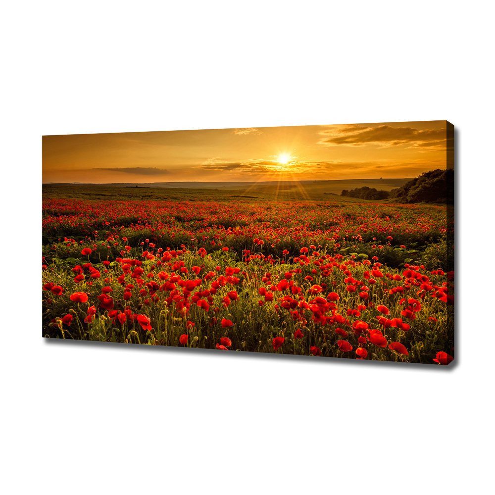 Canvas wall art Mak field