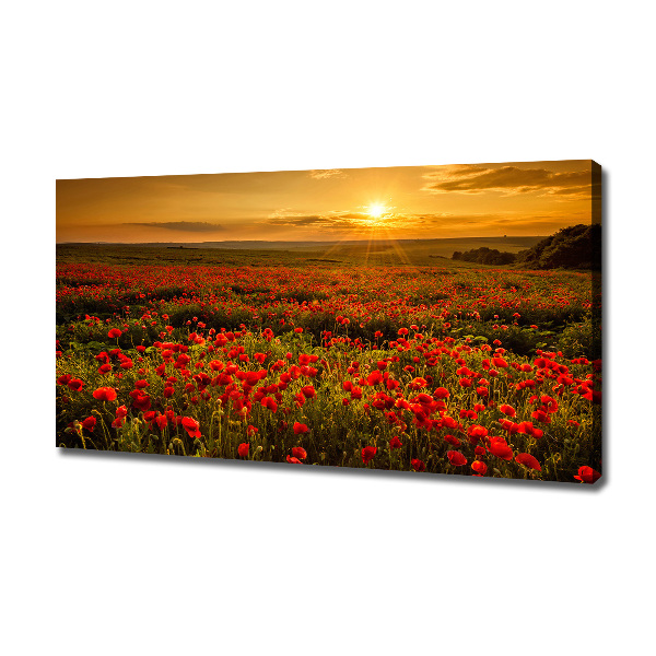 Canvas wall art Mak field