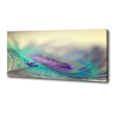 Canvas wall art Drop on the feather