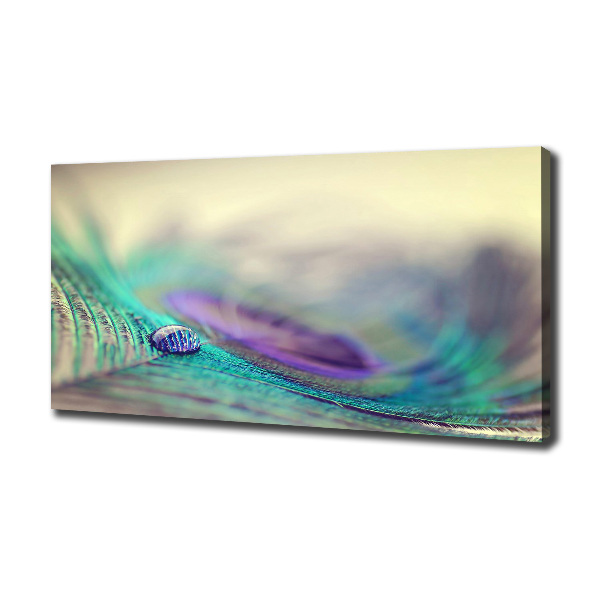 Canvas wall art Drop on the feather