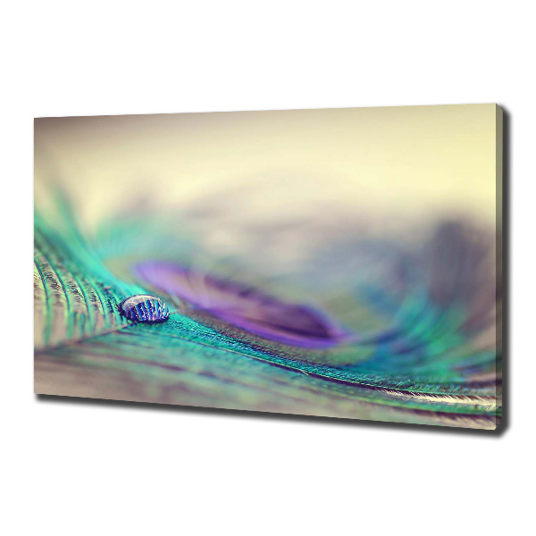 Canvas wall art Drop on the feather