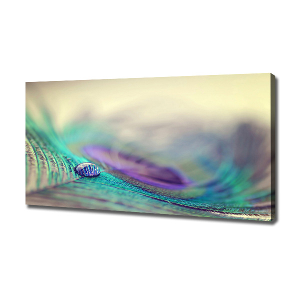 Canvas wall art Drop on the feather