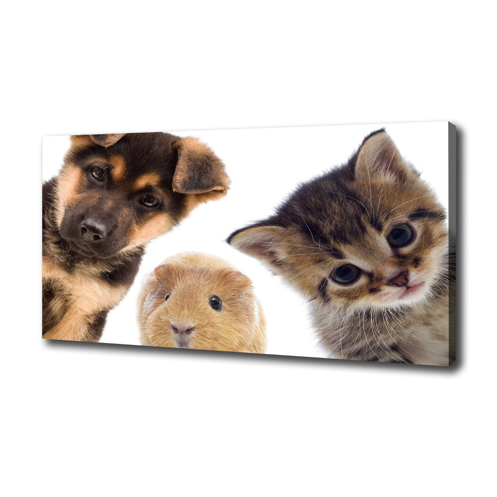 Canvas wall art Pets