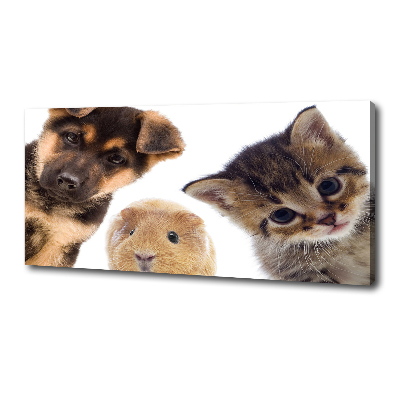 Canvas wall art Pets