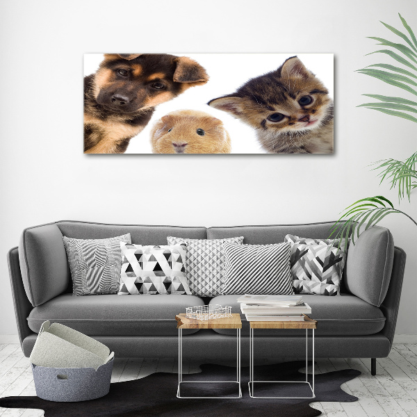 Canvas wall art Pets