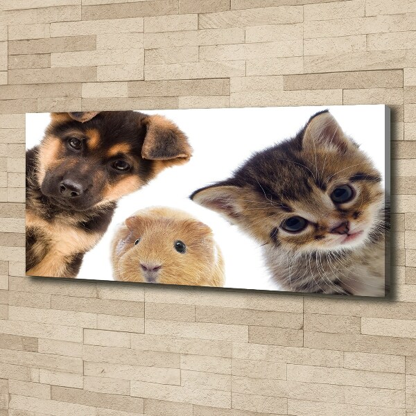 Canvas wall art Pets