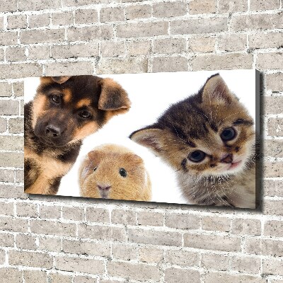 Canvas wall art Pets