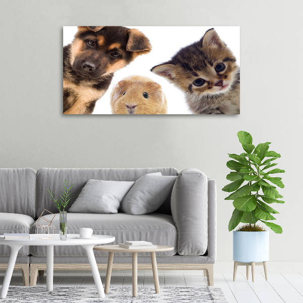 Canvas wall art Pets