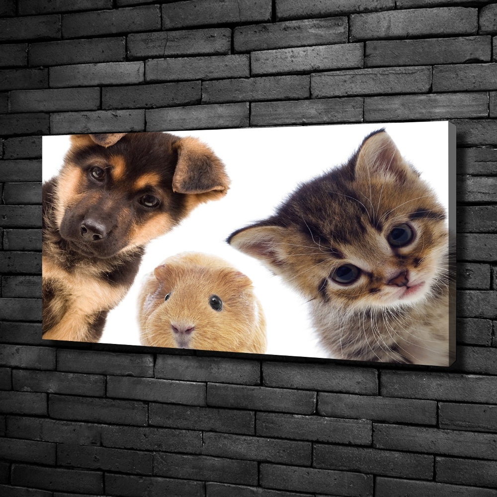 Canvas wall art Pets