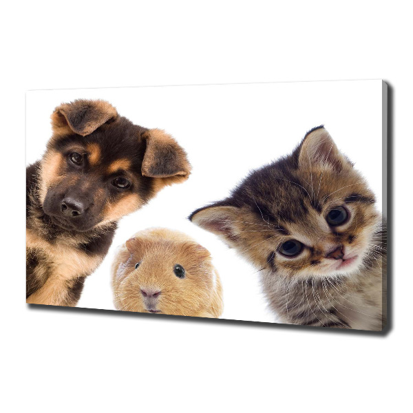 Canvas wall art Pets