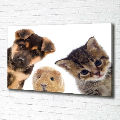 Canvas wall art Pets