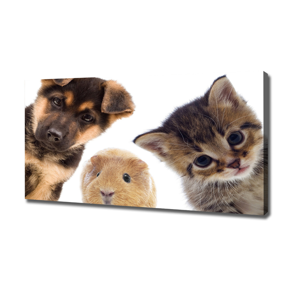 Canvas wall art Pets