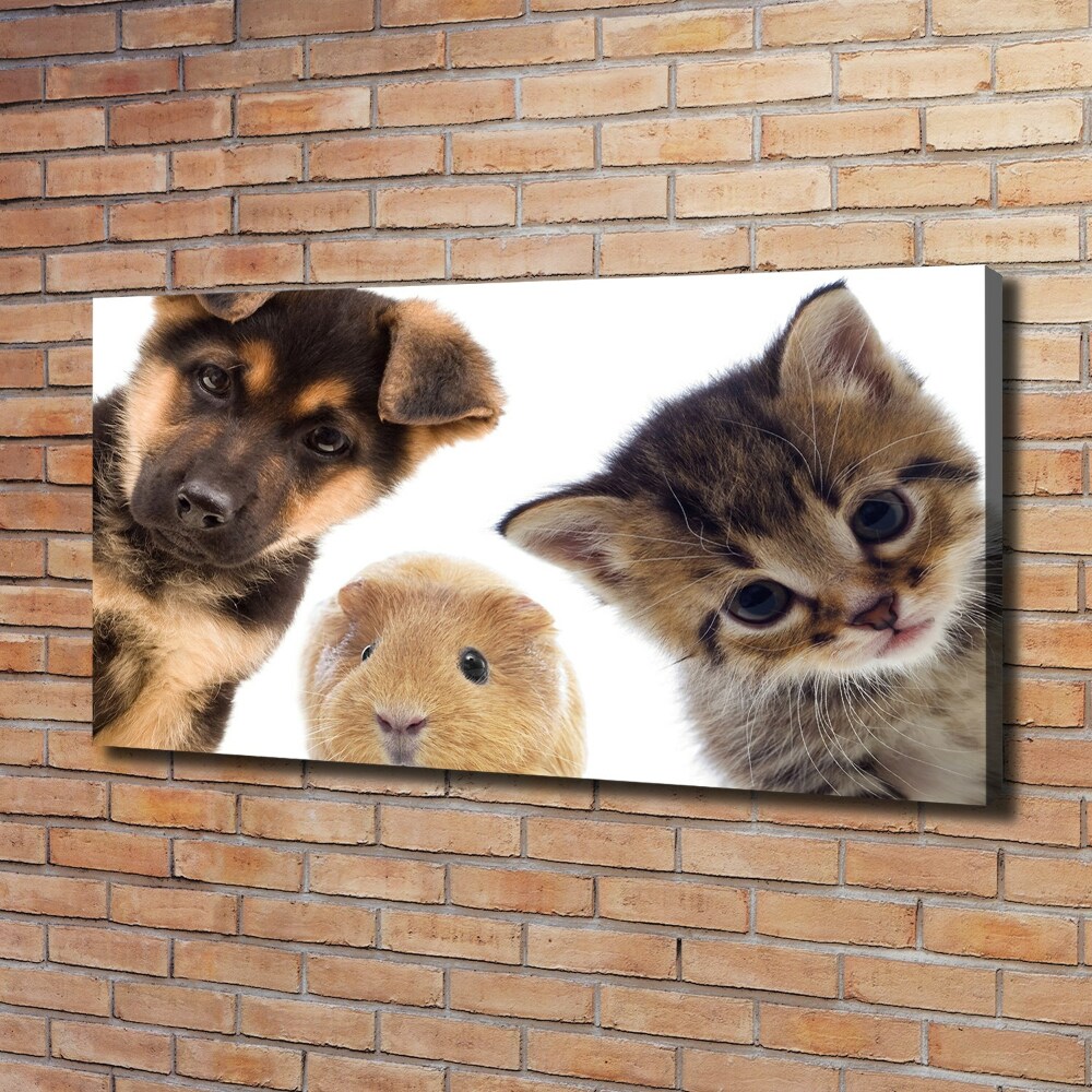 Canvas wall art Pets