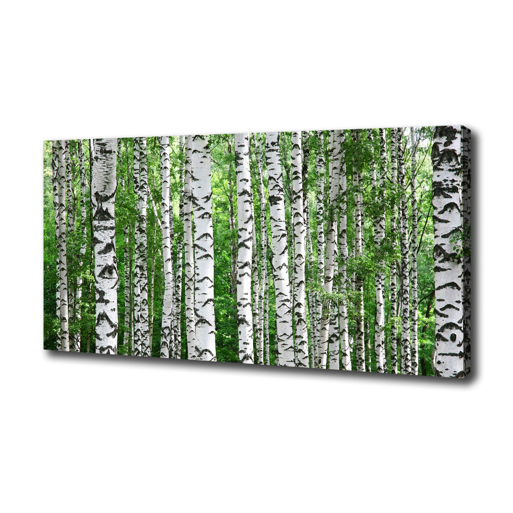 Canvas wall art Birch