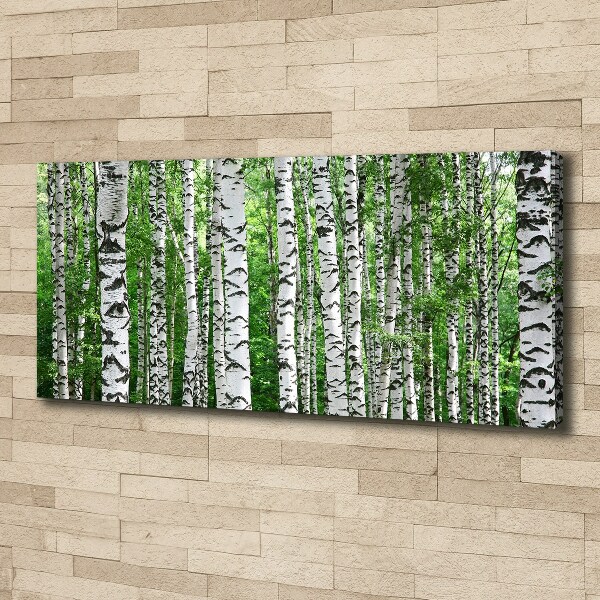 Canvas wall art Birch