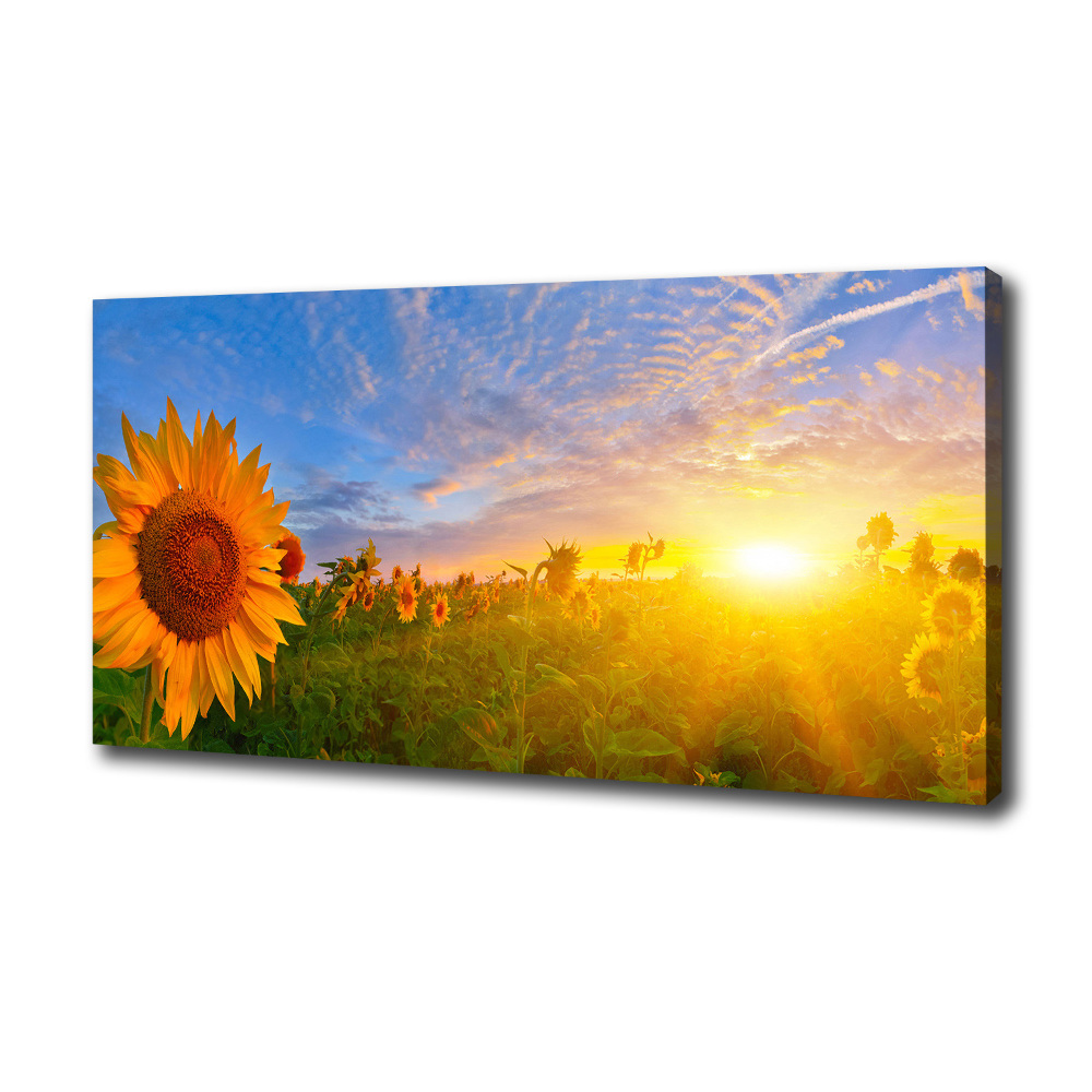 Canvas wall art Sunflower field