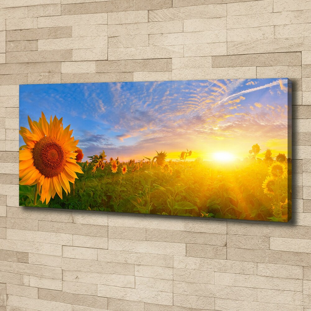 Canvas wall art Sunflower field