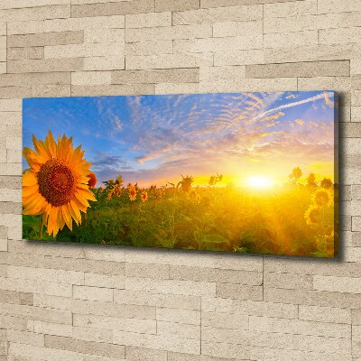 Canvas wall art Sunflower field