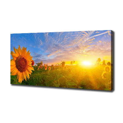 Canvas wall art Sunflower field