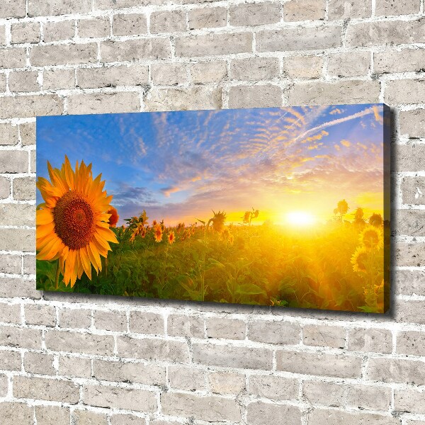 Canvas wall art Sunflower field