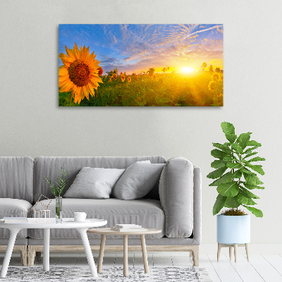 Canvas wall art Sunflower field