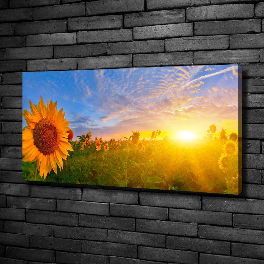 Canvas wall art Sunflower field