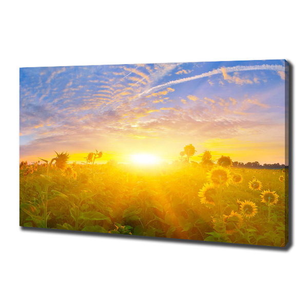 Canvas wall art Sunflower field