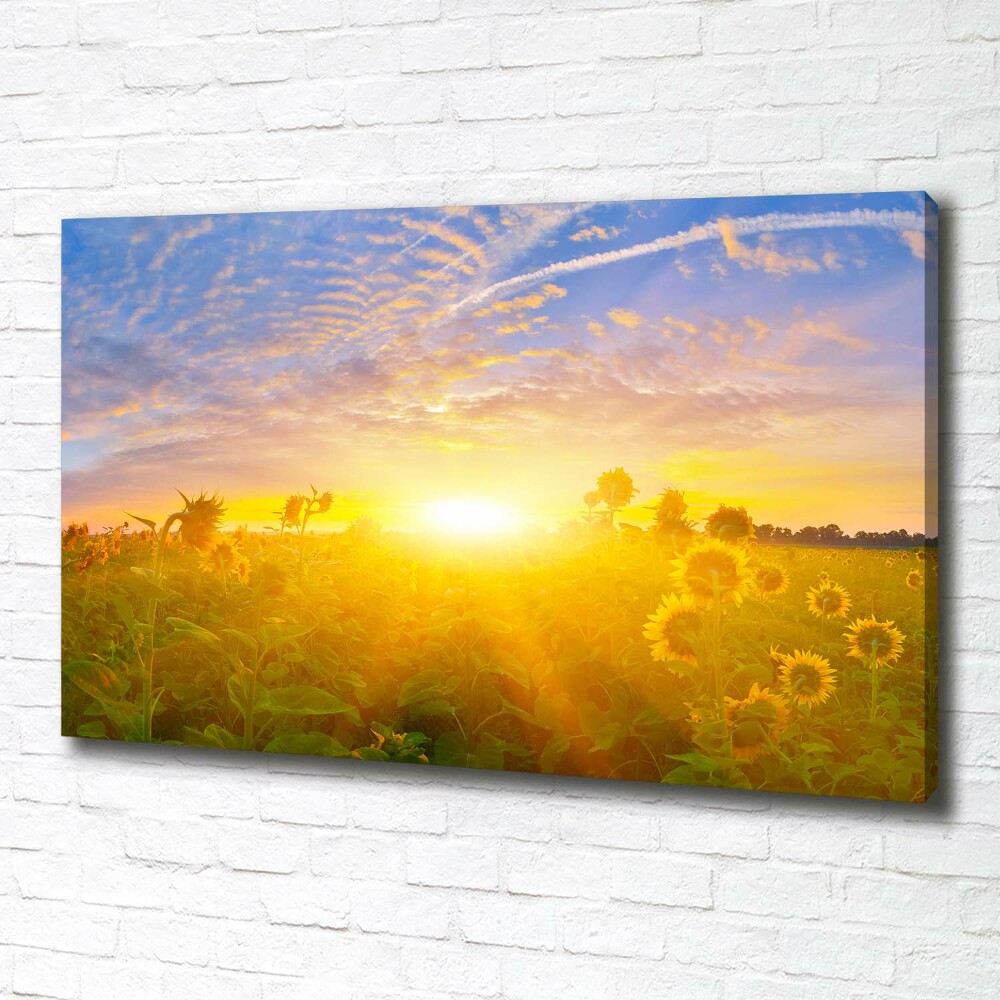 Canvas wall art Sunflower field