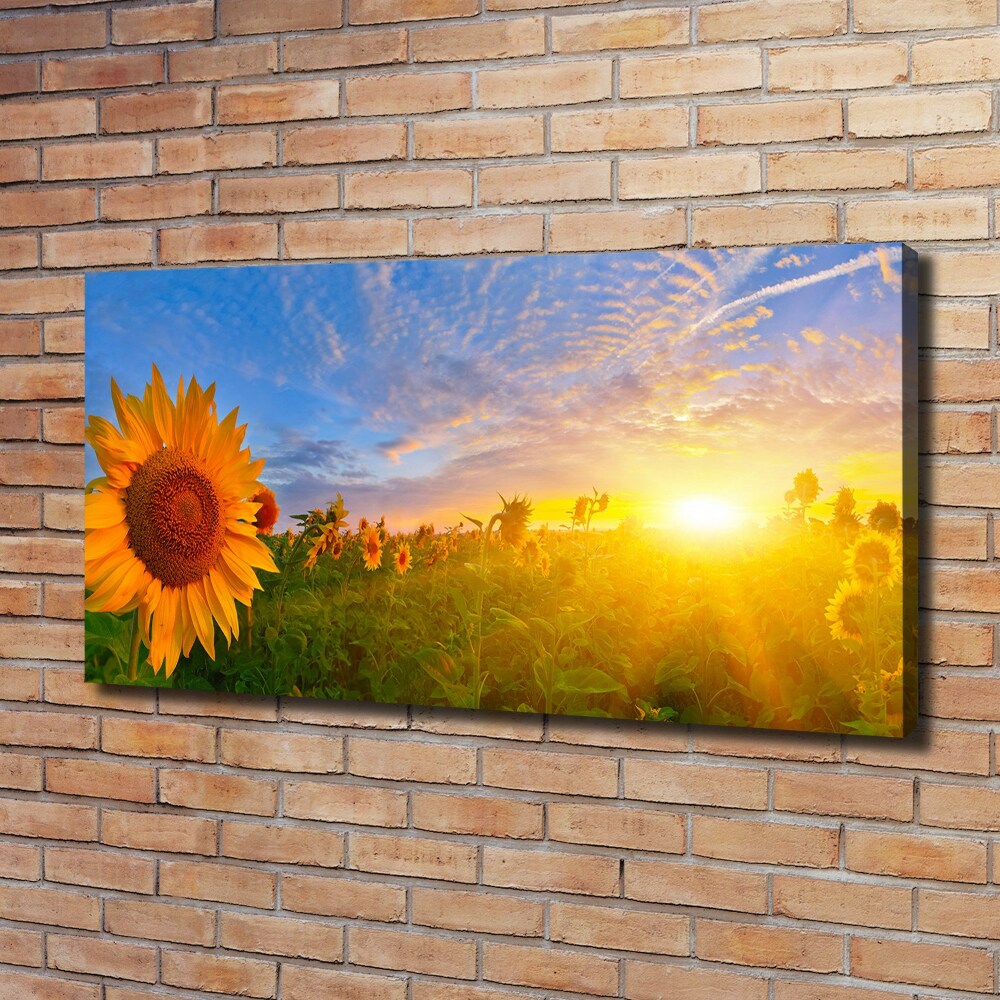 Canvas wall art Sunflower field