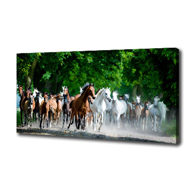 Canvas wall art Horses at gallop